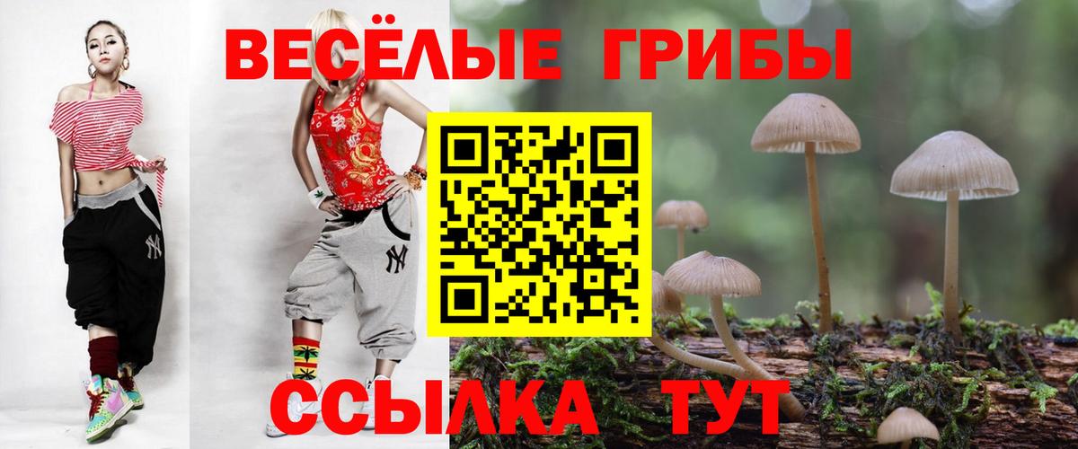 Псилоцибиновые грибы Psilocybine cubensis  Галлюциногенные грибы MAGIC MUSHROOMS  Рыбинск  Вход с VPN 